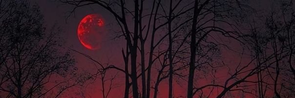 fallapartxxx's profile banner image