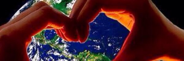 bebird Profile Banner