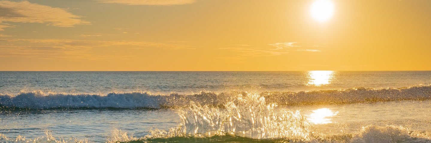 rjittner3's profile banner image