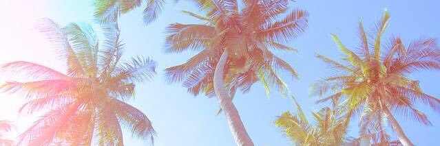 danyellybby's profile banner image