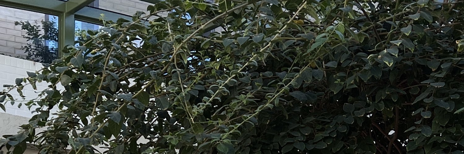 HolooooNothere's profile banner image
