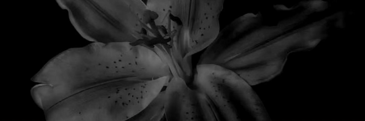 HenderyNovia's profile banner image