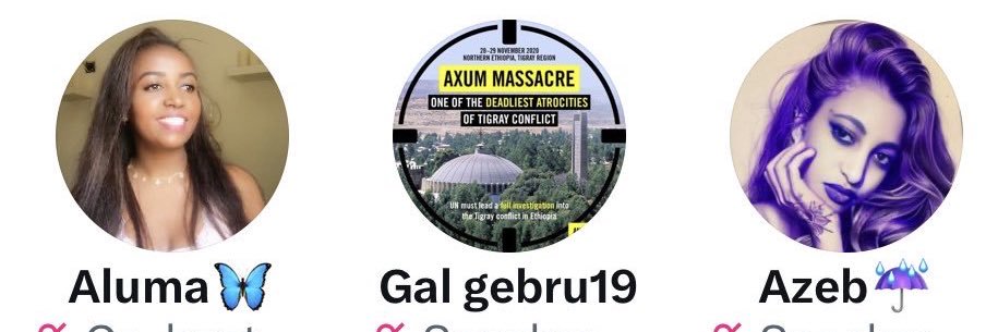 Gal gebru19 banner