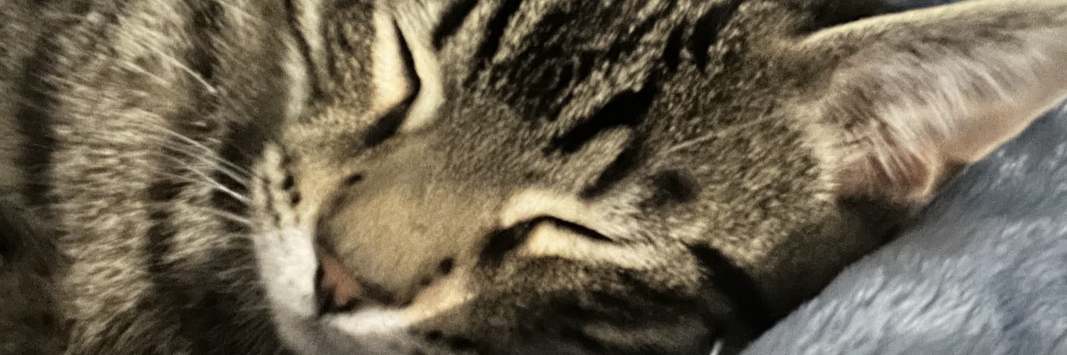 SpittinCrypto banner