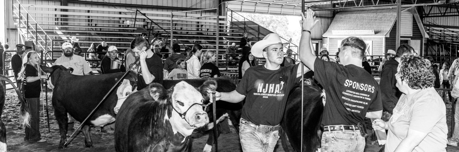 Anthony Stemick banner