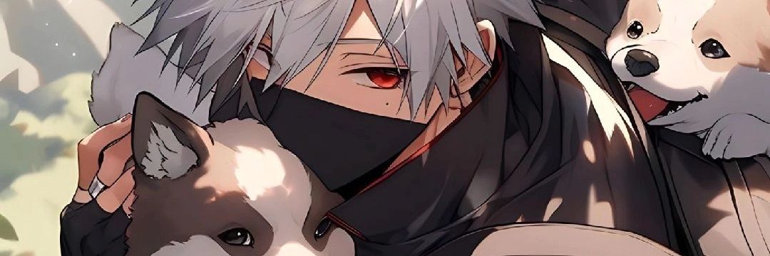 mapache480p's profile banner image