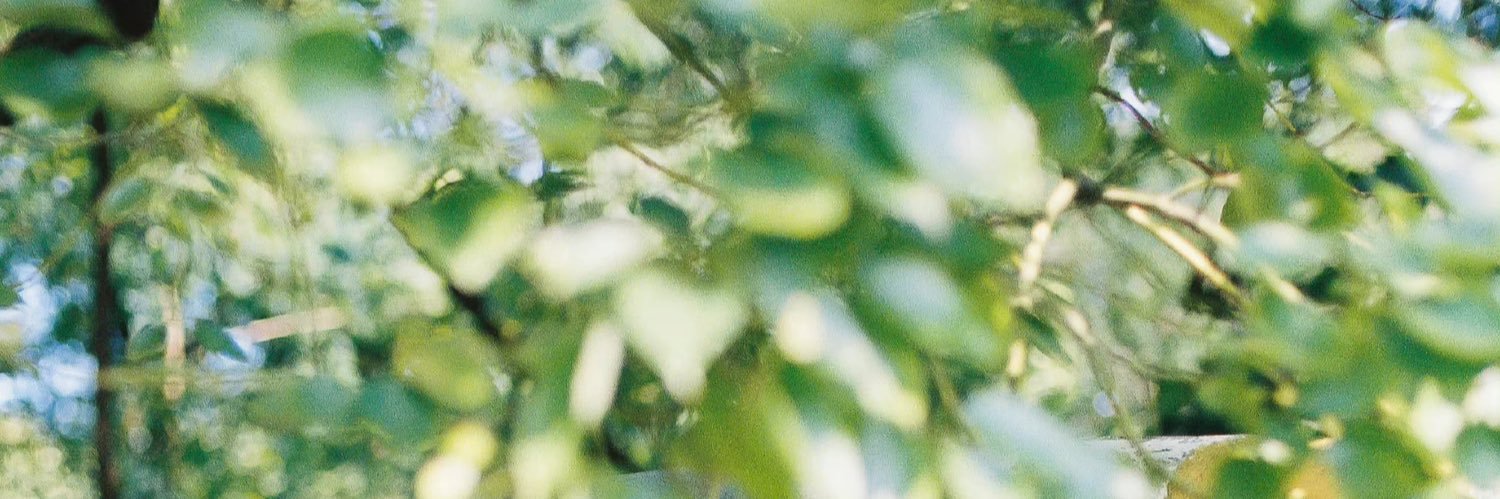 lxinxin9's profile banner image