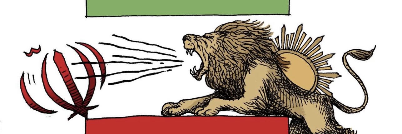 POYRAZ banner