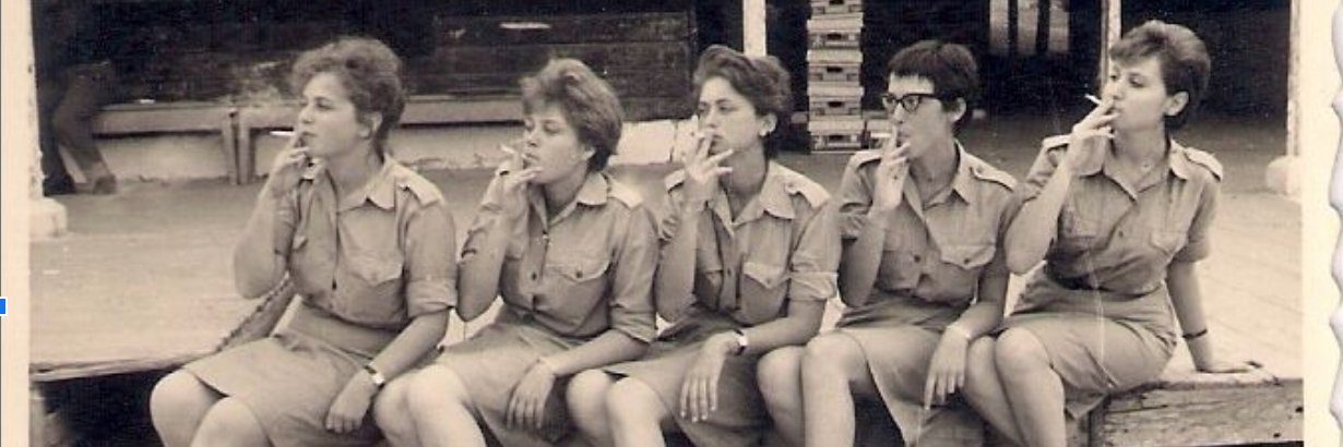 ‏Tal Schneider טל שניידר تال شنايدر banner