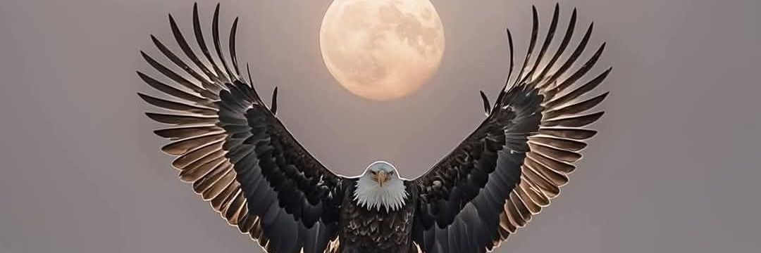 seymatunc1903's profile banner image