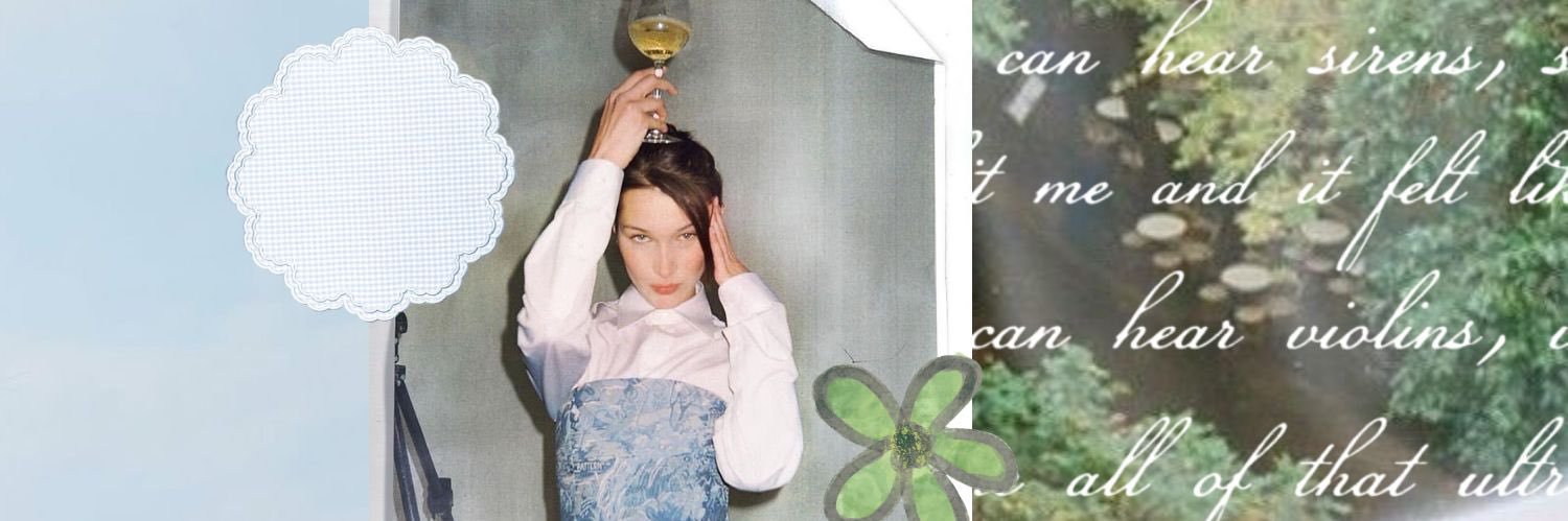 lica banner