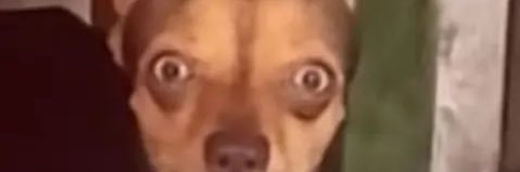 ohmgitsvegas's profile banner image