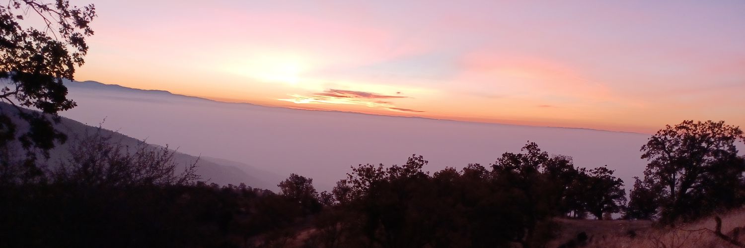 robertzhang83's profile banner image