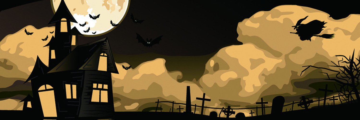 sky8the2flies's profile banner image