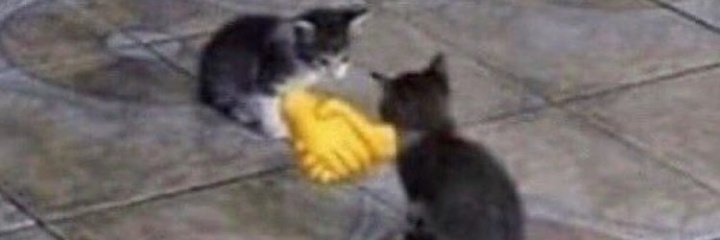 _Reptarr_'s profile banner image