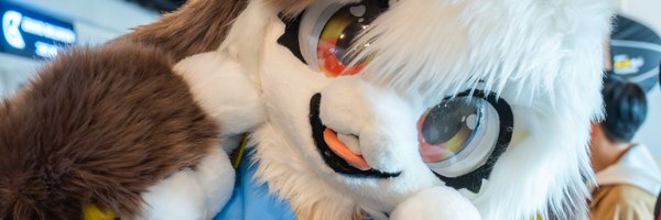 Boreum_Rabbit Profile Banner