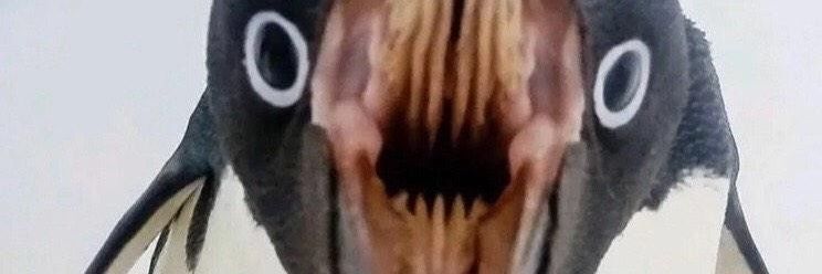 prettygaystuff's profile banner image
