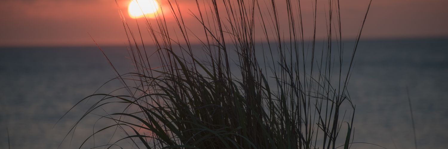 Sky-High Photography's banner