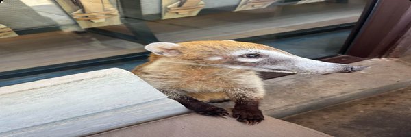 TAS2Rs Profile Banner