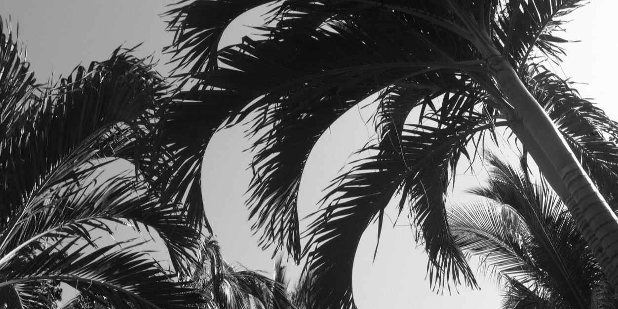 louismundo's profile banner image