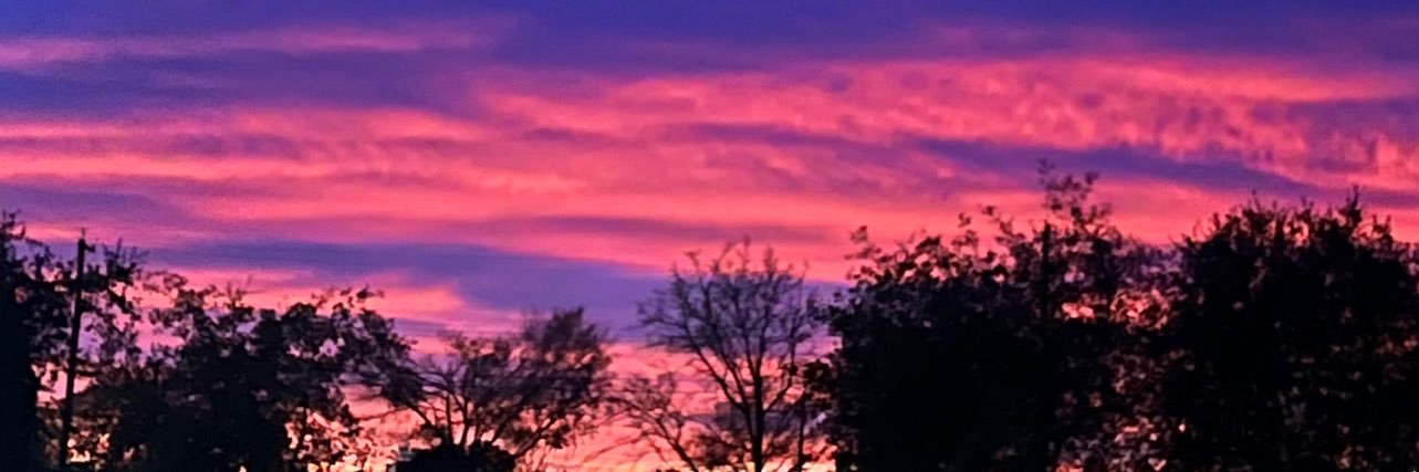 jadeeprestonn's profile banner image