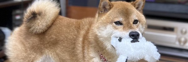 inuinu_1231 Profile Banner
