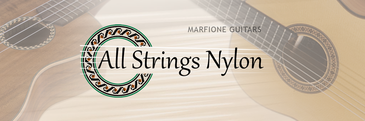 AllStringsNylon's profile banner image