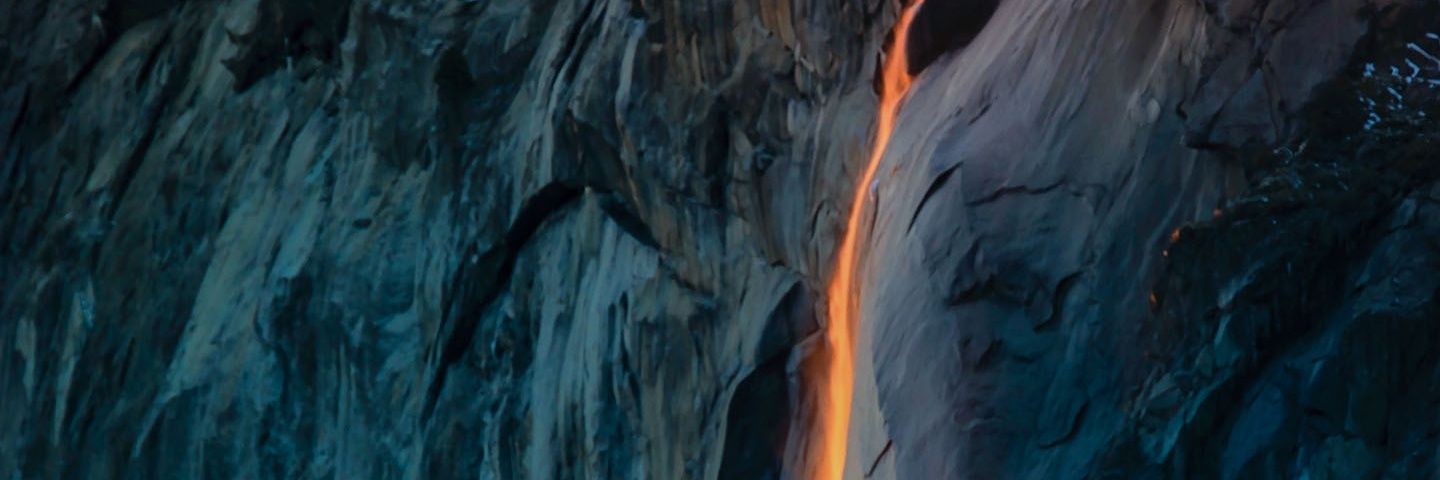LDavidochoa's profile banner image