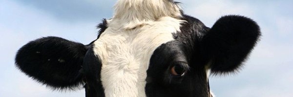 Farmtips099 Profile Banner