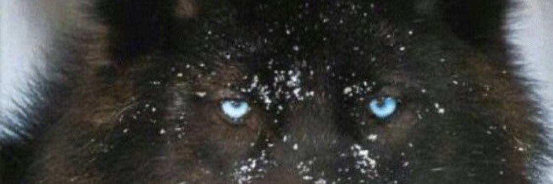 WN2HUNK's profile banner image