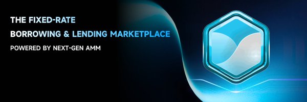 TermMaxFi Profile Banner