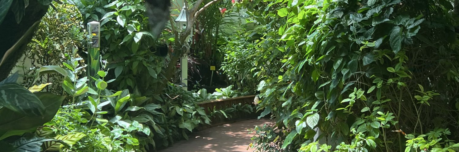 ThoughtfulTrails banner