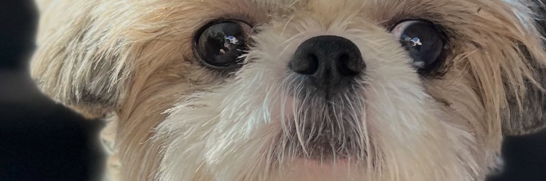 rioscamilaaa's profile banner image