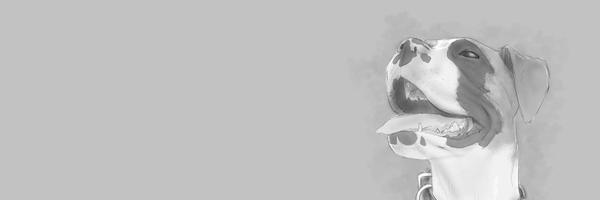 Toshi_TNE Profile Banner