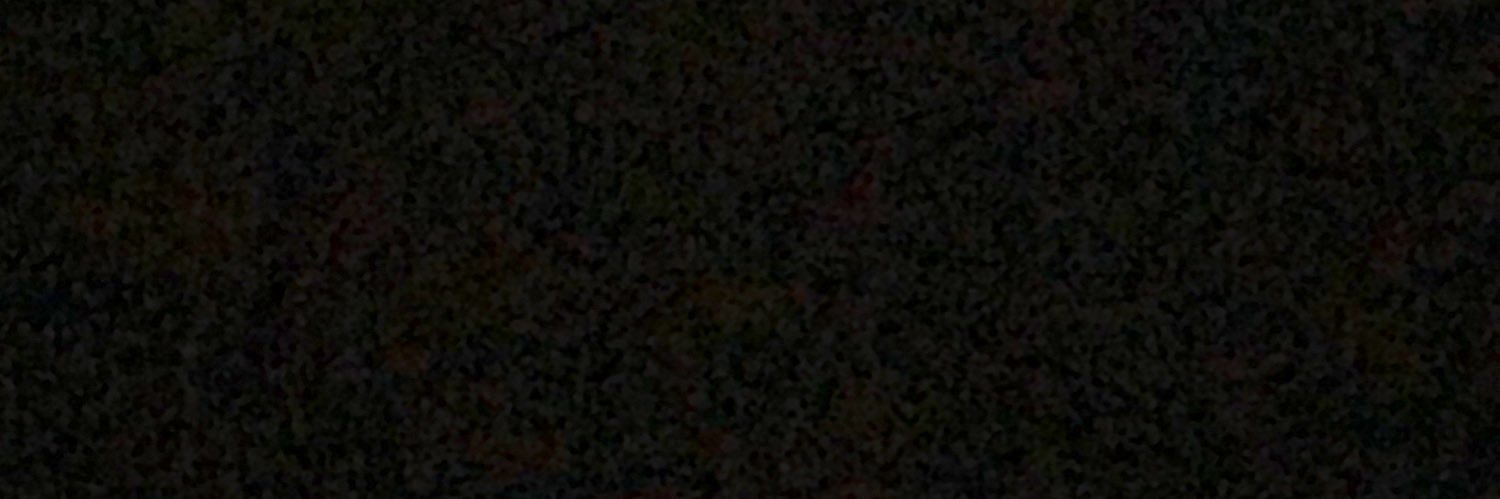 LadyAAC's profile banner image