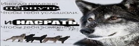 N1katine's profile banner image
