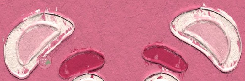 HoganLynch4's profile banner image