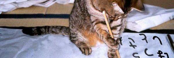 Amanda Weimar banner