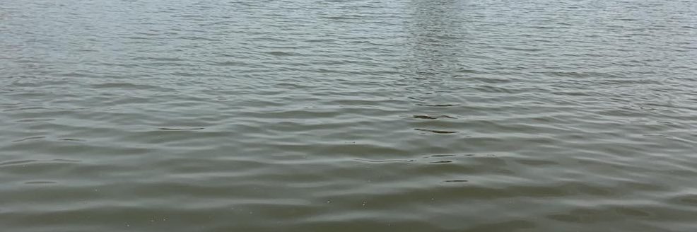 البوصلة banner