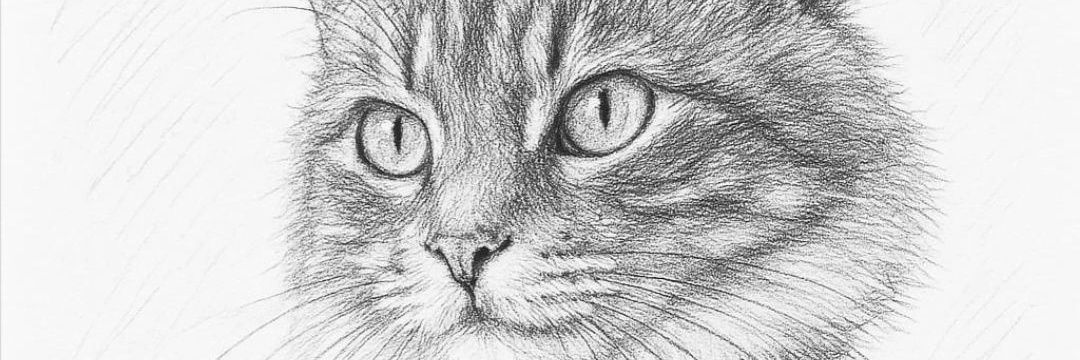Ar_aa's profile banner image