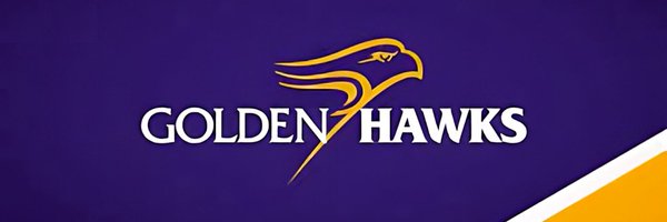 LaurierValorant Profile Banner
