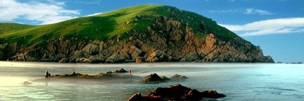 miwoooo Profile Banner