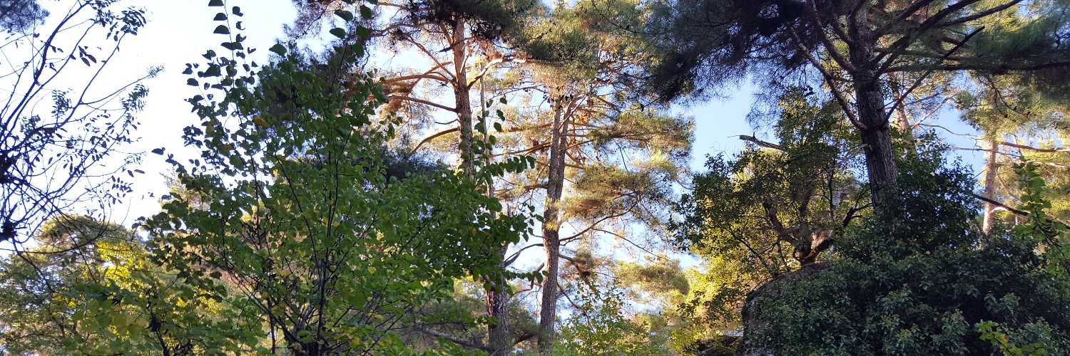 ozlemozer1969's profile banner image