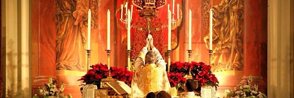 CatholicPartyy banner