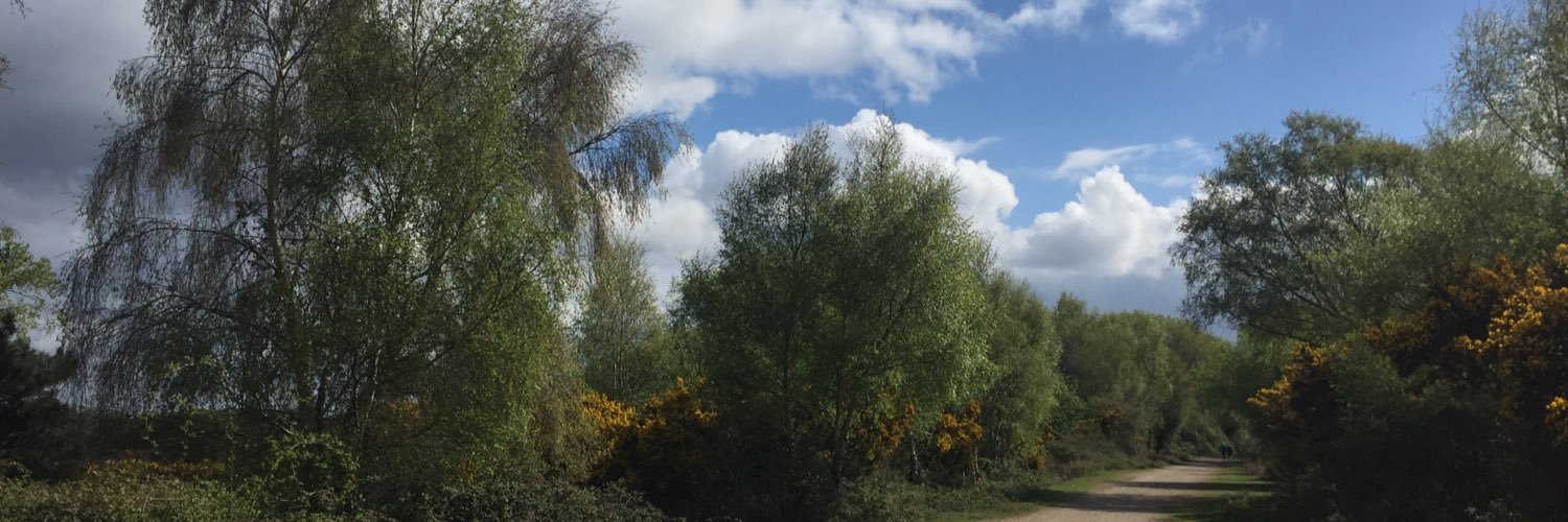 Lara Rongen banner