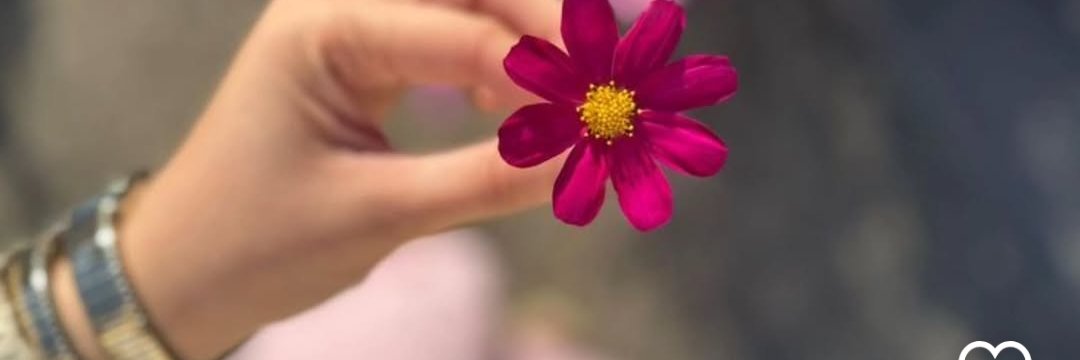 Radiance✨🍉 banner