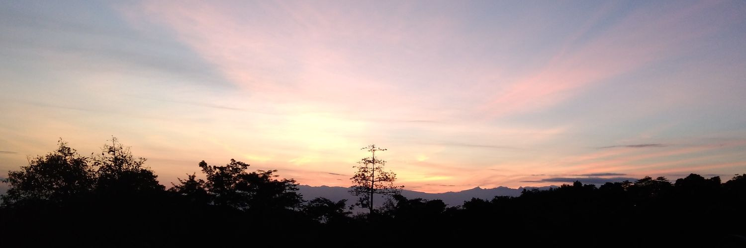 mawarfarida's profile banner image