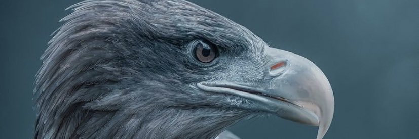 NaturaldZ's profile banner image
