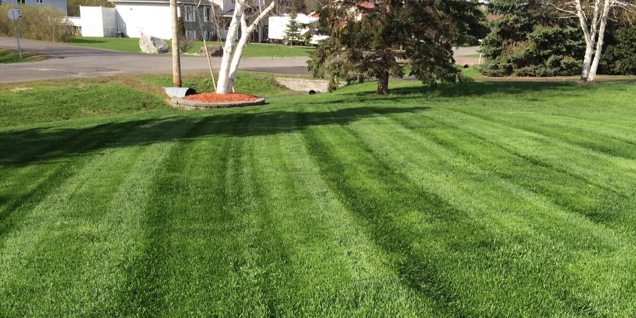 NNJLandscaping's profile banner image