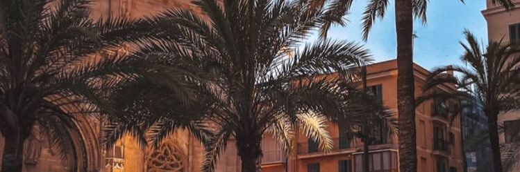 CataSpano's profile banner image